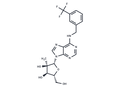 N6-(3-Trifluoromethylbenzyl)-2'-C-methyl adenosine – Figure 1 of 1