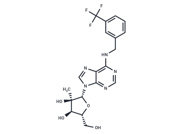 N6-(3-Trifluoromethylbenzyl)-2'-C-methyl adenosine – Figure 1 of 1