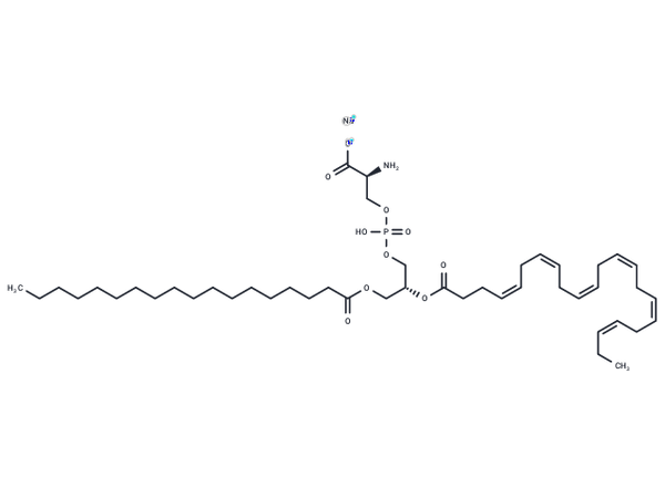 18:0,22:6 PS sodium – Figure 1 of 1