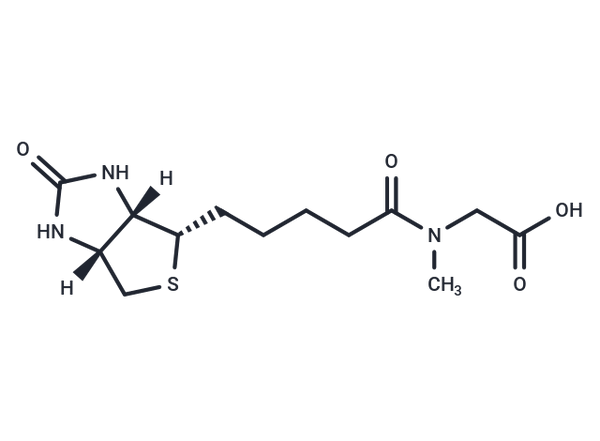 Biotin-sar-oh – Figure 1 of 1