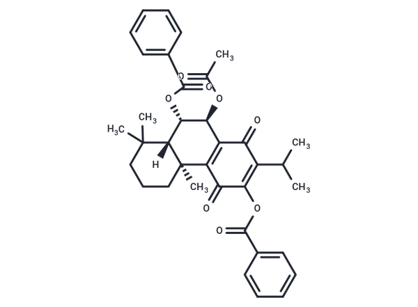 Roy-Bz – Figure 1 of 1