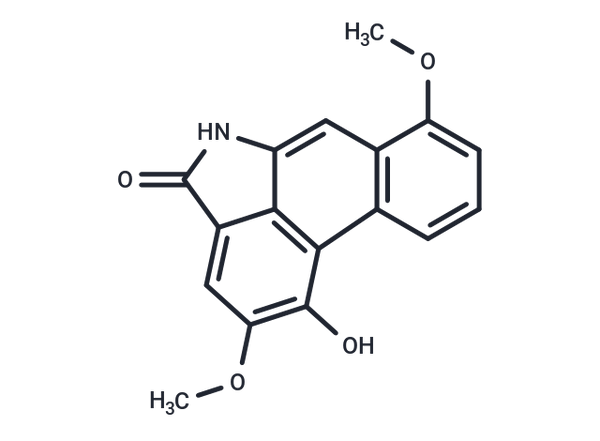 Griffithinam – Figure 1 of 1