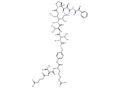 OH-Glu-Val-Cit-PAB-MMAE – Figure 1 of 1