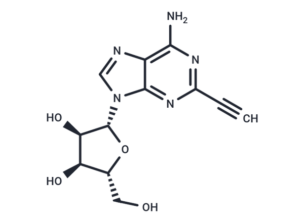2-Ethynyl Adenosine – Figure 1 of 1