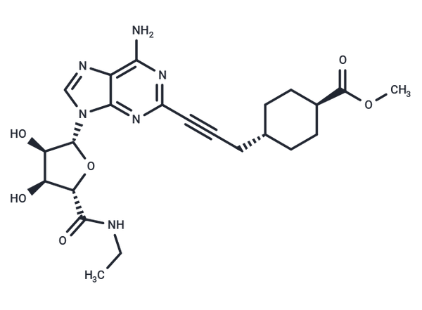 Apadenoson – Figure 1 of 1