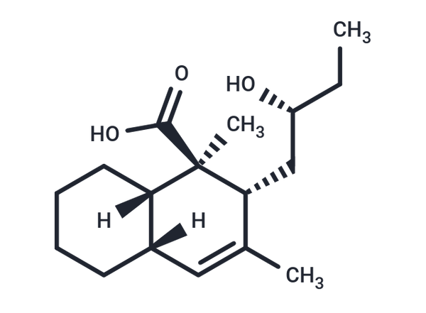 PI 201 – Figure 1 of 1