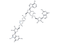 m7GpppAmpG – Figure 1 of 1