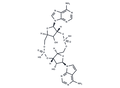 IACS-8779 – Figure 1 of 1