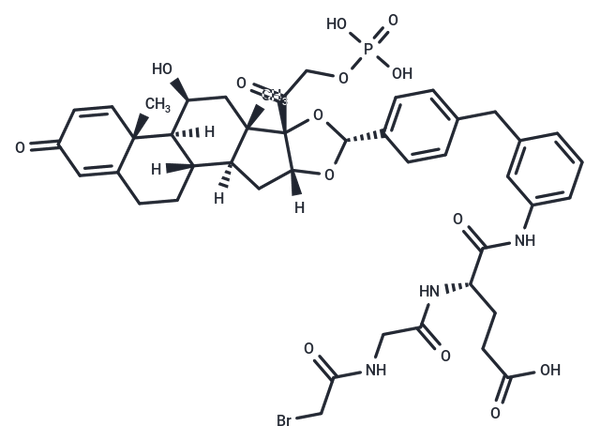 Glucocorticoid receptor agonist-1 phosphate Gly-Glu-Br – Figure 1 of 1