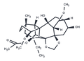 Elasine – Figure 1 of 1