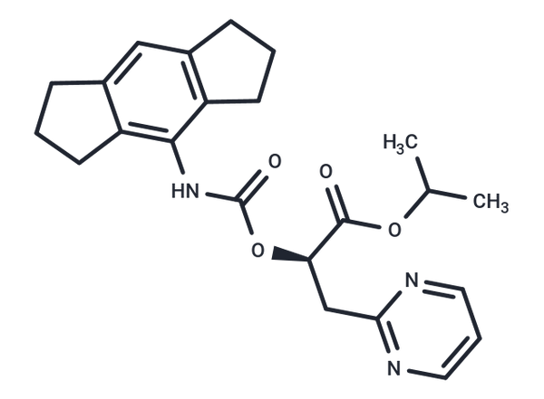 NT-0796 – Figure 1 of 1