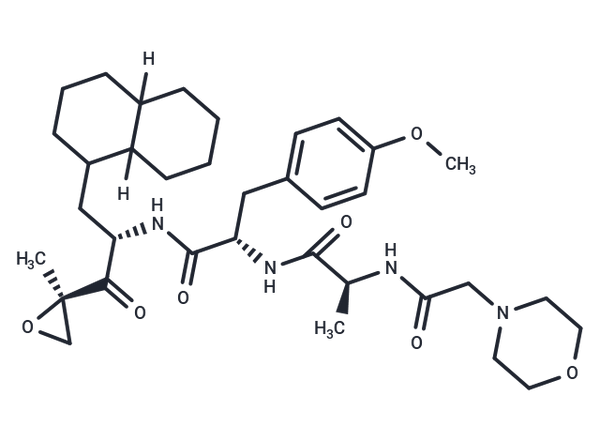 LU-002i – Figure 1 of 1