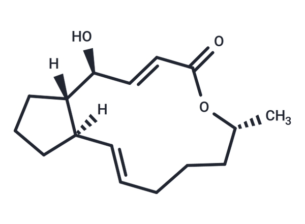 Brefeldin-C – Figure 1 of 1