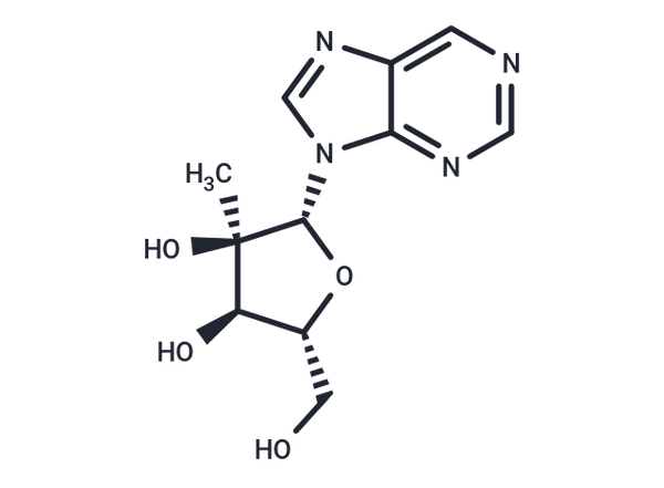 9-(2-C-methyl-β-D-ribofuranosyl)purine – Figure 1 of 1