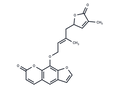 Wampetin – Figure 1 of 1