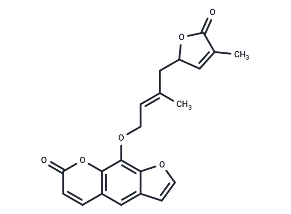 Wampetin – Figure 1 of 1