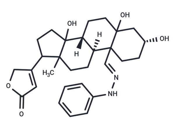 Compound N023-0005 – Figure 1 of 1