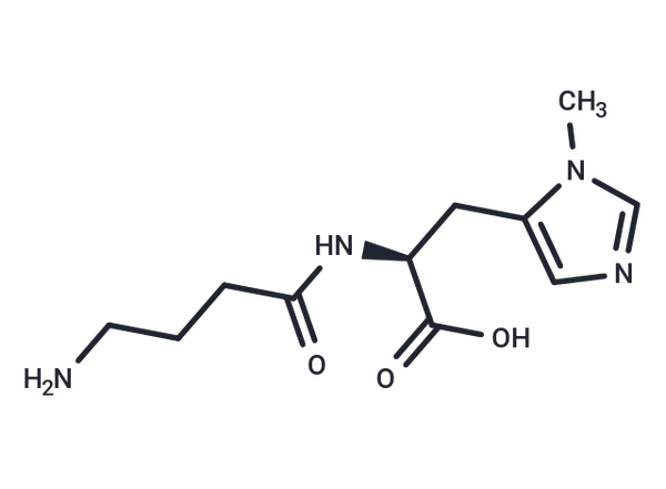 Homoanserine Nitrate – Figure 1 of 1