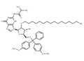 N2-iBu-5'-O-DMTr-2'-O-hexadecanyl guanosine – Figure 1 of 1