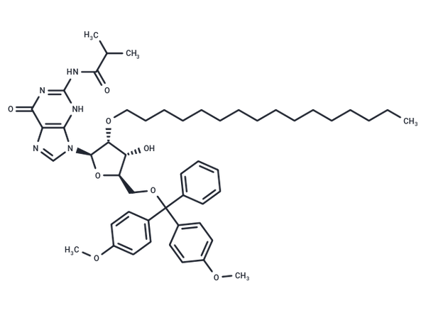 N2-iBu-5'-O-DMTr-2'-O-hexadecanyl guanosine – Figure 1 of 1