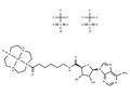 UBA5-IN-1 – Figure 1 of 1