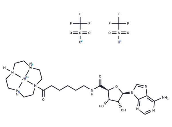 UBA5-IN-1 – Figure 1 of 1