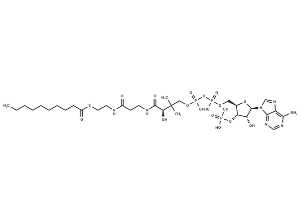 Decanoyl coenzyme A – Figure 1 of 1