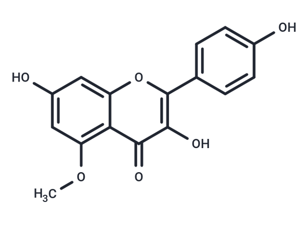 Kaempferol 5-methyl ether – Figure 1 of 1