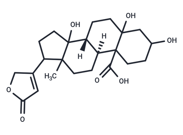 Compound 0449-0101 – Figure 1 of 1