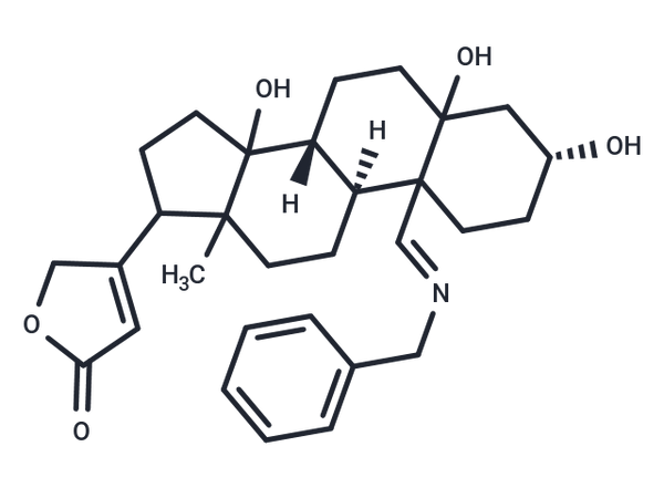Compound N023-0006 – Figure 1 of 1