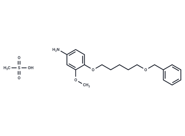 m-Anisidine, 4-((5-(benzyloxy)pentyl)oxy)-, methanesulfonate – Figure 1 of 1