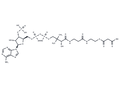 Malonyl CoA – Figure 1 of 1