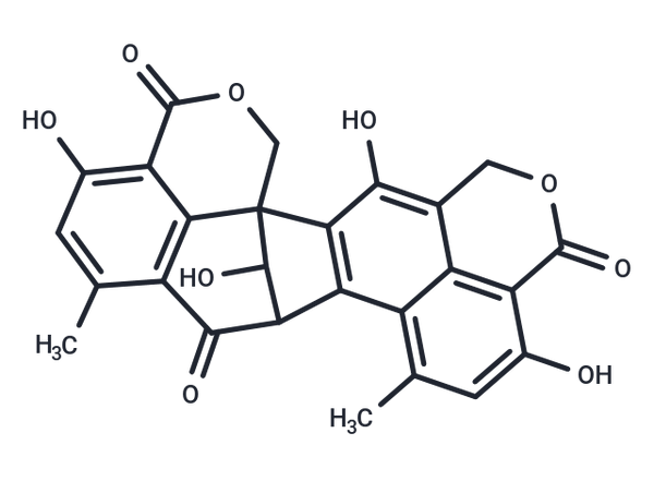 Bacillosporin B – Figure 1 of 1