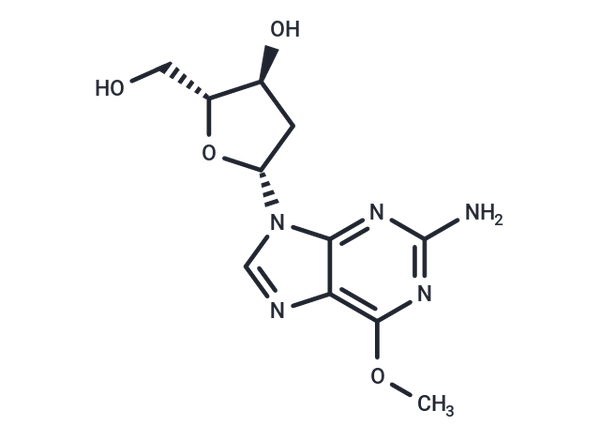 O6-Methyldeoxy guanosine – Figure 1 of 1