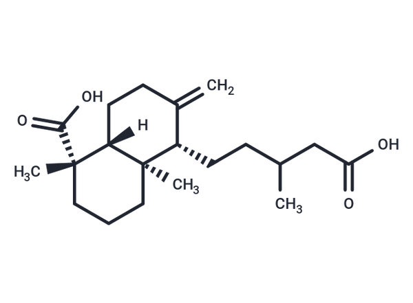 Dihydroagathic acid – Figure 1 of 1