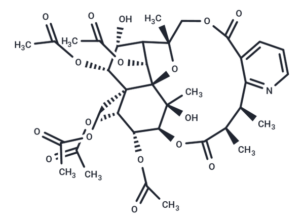 Aquifoliunine E-III – Figure 1 of 1