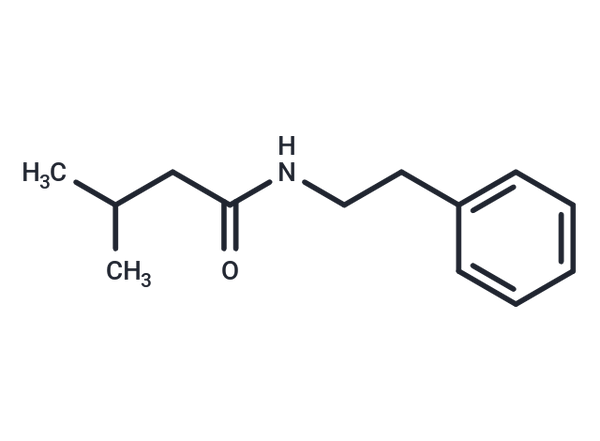 N-Phenethylisovaleramide – Figure 1 of 1