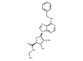 N6-Benzyl-5'-ethylcarboxamido adenosine – Figure 1 of 1