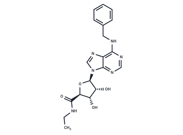 N6-Benzyl-5'-ethylcarboxamido adenosine – Figure 1 of 1