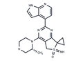 ATR-IN-8 – Figure 1 of 1