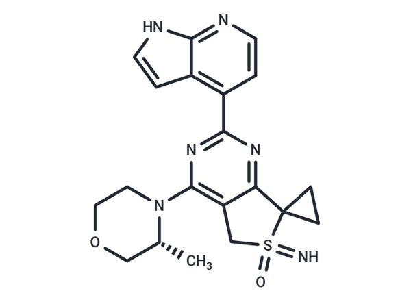 ATR-IN-8 – Figure 1 of 1