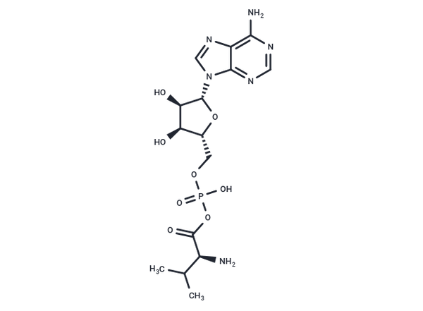 Valyl adenylate – Figure 1 of 1