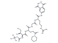 S 2613 – Figure 1 of 1