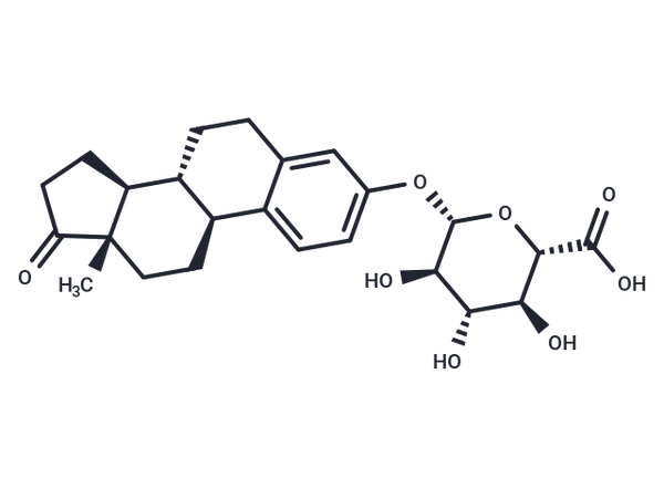 Estrone 3-glucuronide – Figure 1 of 1