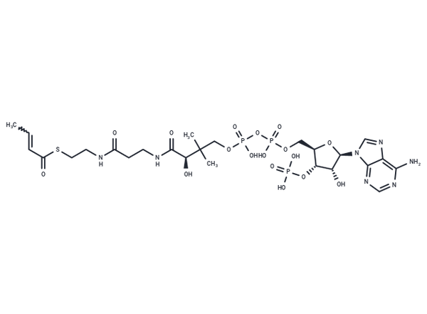 Crotonyl-CoA – Figure 1 of 1