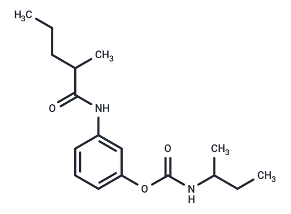 Valeranilide, 3'-hydroxy-2-methyl-, sec-butylcarbamate (ester) – Figure 1 of 1