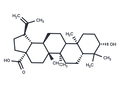 Betulinic acid (Mairin; Gratiolone; Platanol) – Figure 1 of 1