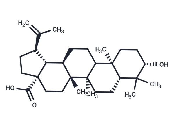 Betulinic acid (Mairin; Gratiolone; Platanol) – Figure 1 of 1