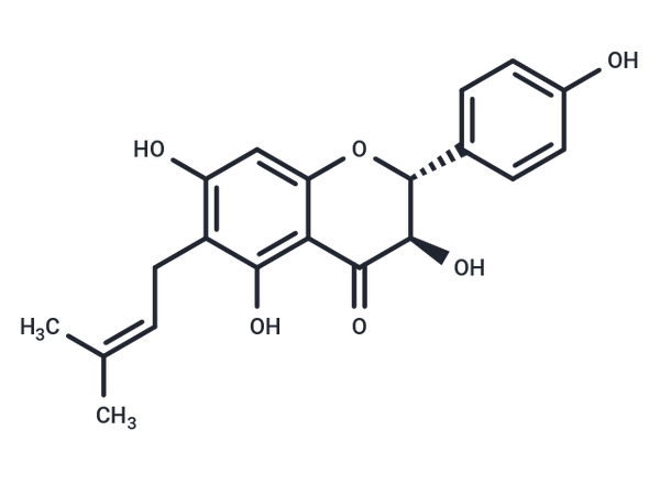 Shuterin – Figure 1 of 1