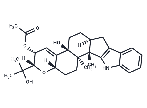 PC-M5' – Figure 1 of 1